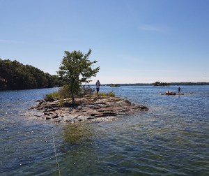 Resized_20180720_153244_5538